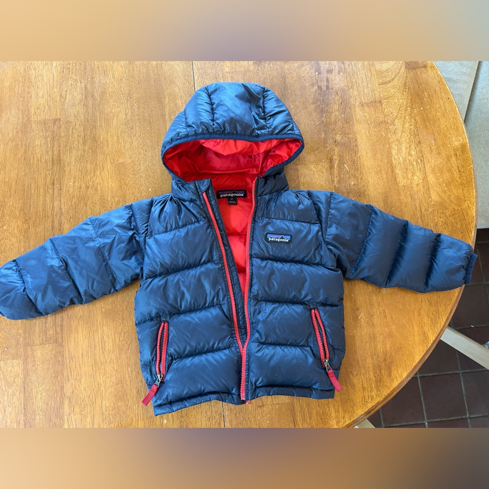 Patagonia Hi-Loft Down Puffer 2T